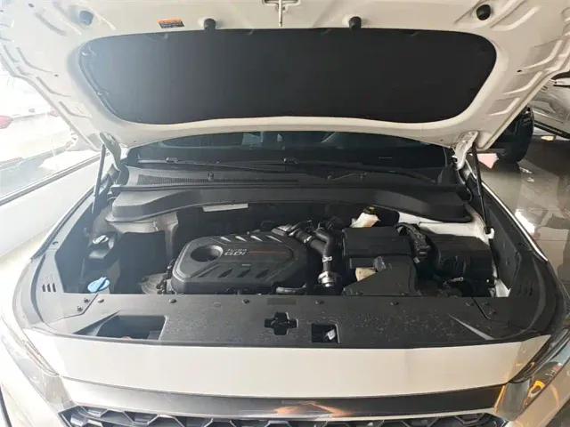 Hyundai Santa Fe — Фото автомобиля 19