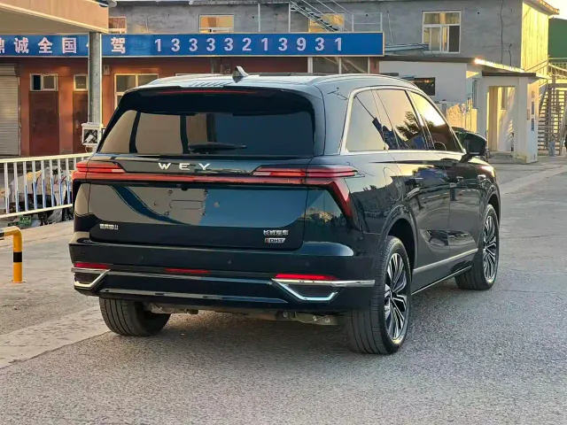 Wey Lanshan — Фото автомобиля 11