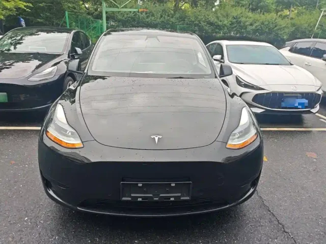 Tesla Model Y — Фото автомобиля 2