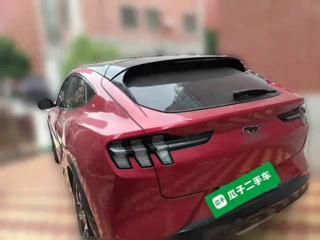 Ford Mustang Mach-E — Фото автомобиля 4