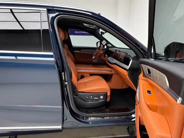 WEY Wey Lanshan 2023 2WD Long Range Edition — Фото автомобиля 10