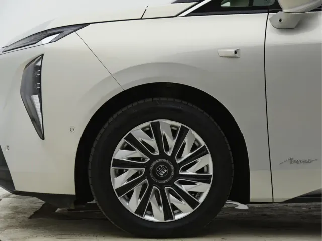 Buick Zhijing Shijia — Фото автомобиля 21