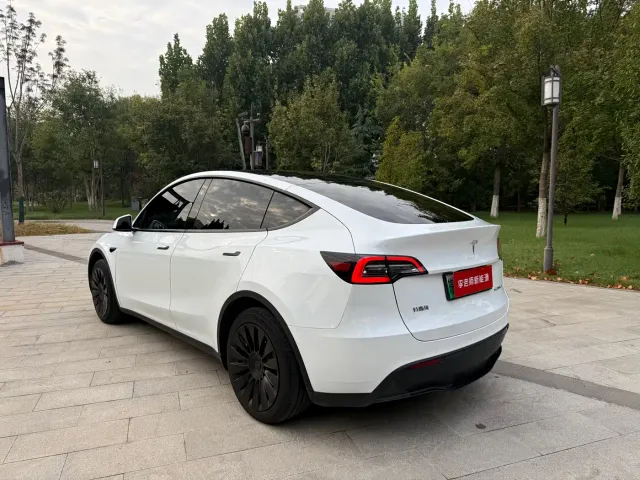 Tesla Model Y — Фото автомобиля 6