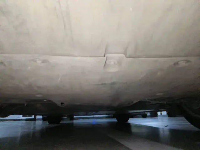 Tesla Model Y — Фото автомобиля 11