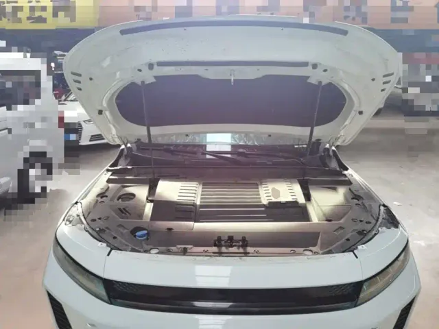 Exeed Exeed Chasing Wind C-DM 2024 C-DM 1.5TCI 105KM Luxury Edition — Фото автомобиля 15