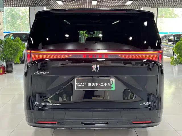 Buick Zhijing Shijia — Фото автомобиля 5