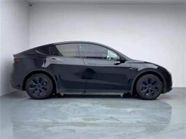 Tesla Model Y — Фото автомобиля 3