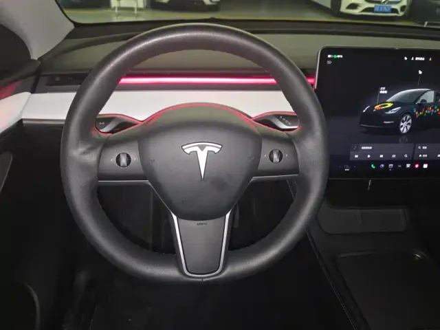 Tesla Model Y — Фото автомобиля 15