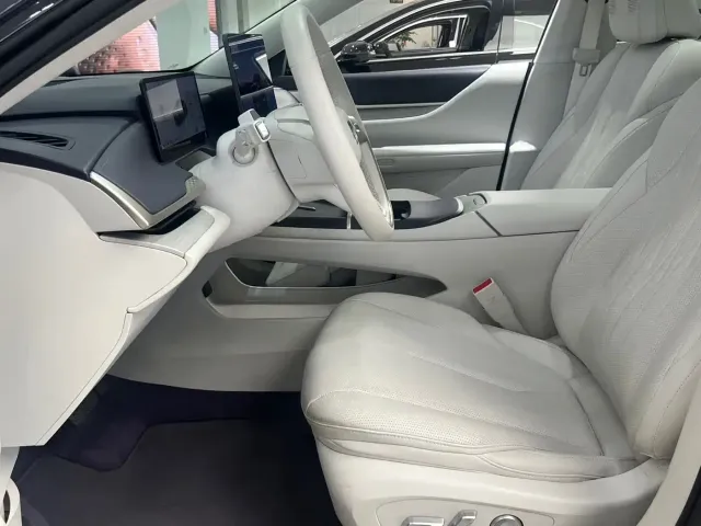 Buick Electra L7 — Фото автомобиля 11