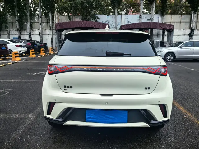 BYD Dolphin — Фото автомобиля 2