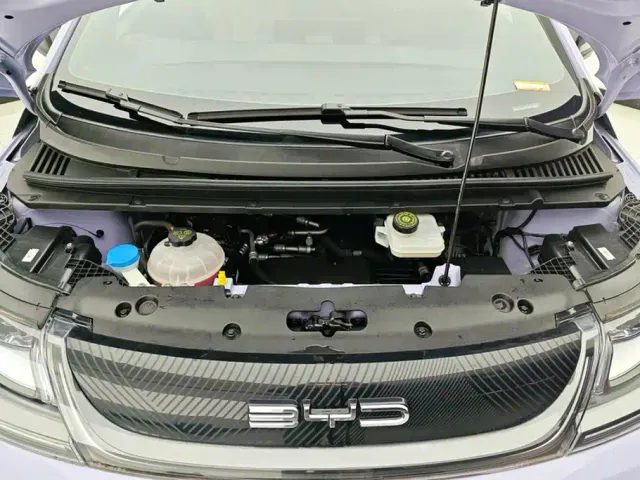 BYD Dolphin — Фото автомобиля 10