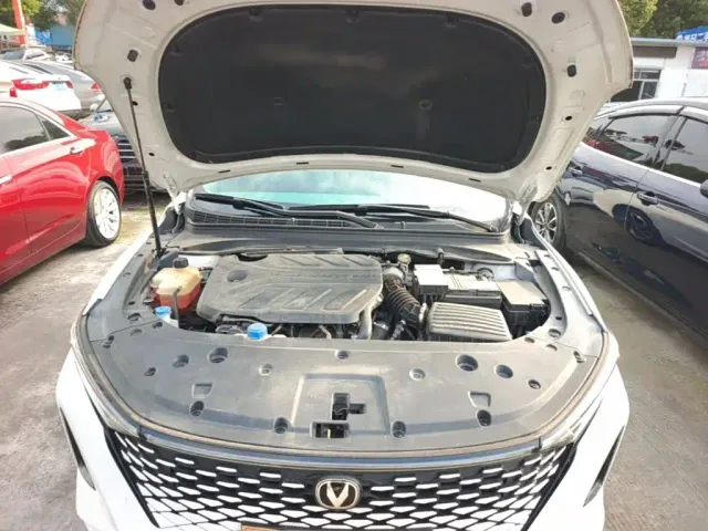 Changan Raeton Plus — Фото автомобиля 19