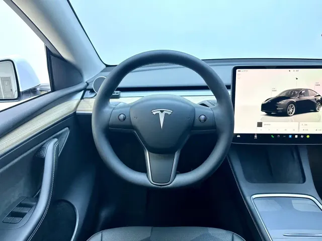Tesla Model Y — Фото автомобиля 14