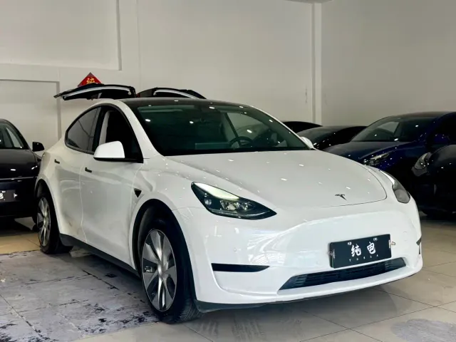 Tesla Model Y — Фото автомобиля 3