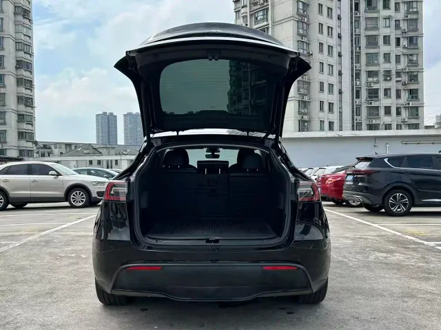 Tesla Model Y — Фото автомобиля 16