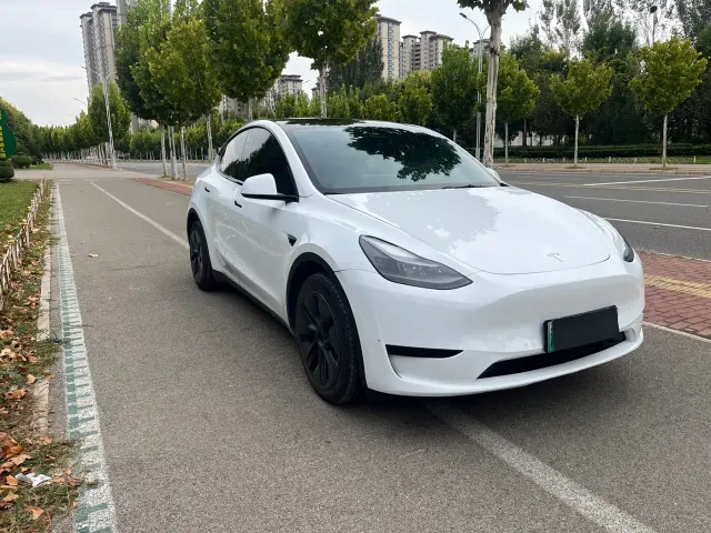 Tesla Model Y — Фото автомобиля 2