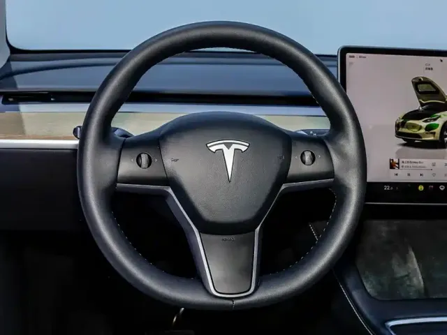 Tesla Model Y — Фото автомобиля 20