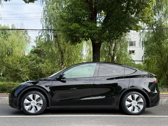 Tesla Model Y — Фото автомобиля 2