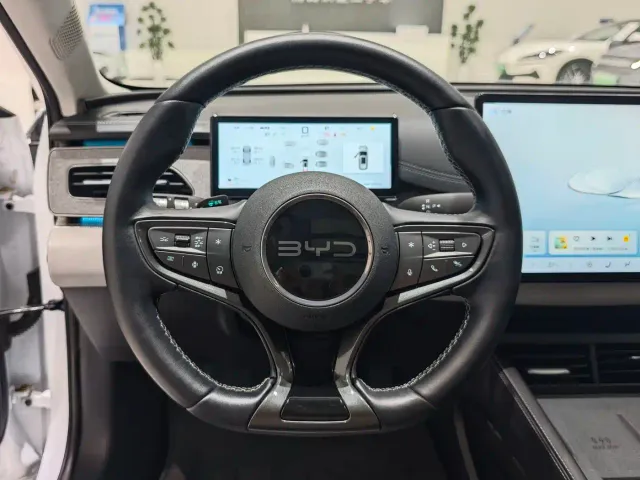 BYD Seal 06 DM-i Touring — Фото автомобиля 9