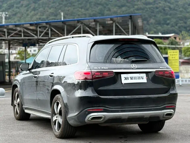 Mercedes-Benz GLS-Class — Фото автомобиля 10