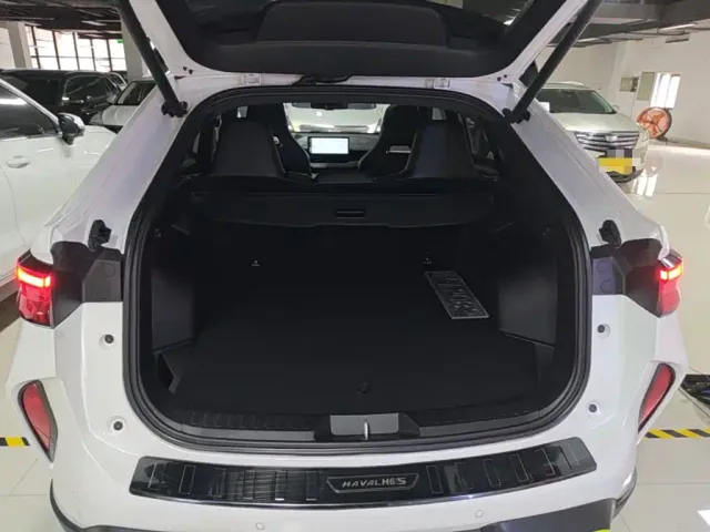 Haval H6S — Фото автомобиля 18