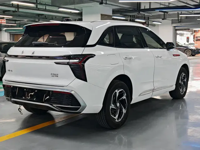 Hongqi Hongqi HS3 2024 1.5T Virtue Edition — Фото автомобиля 14