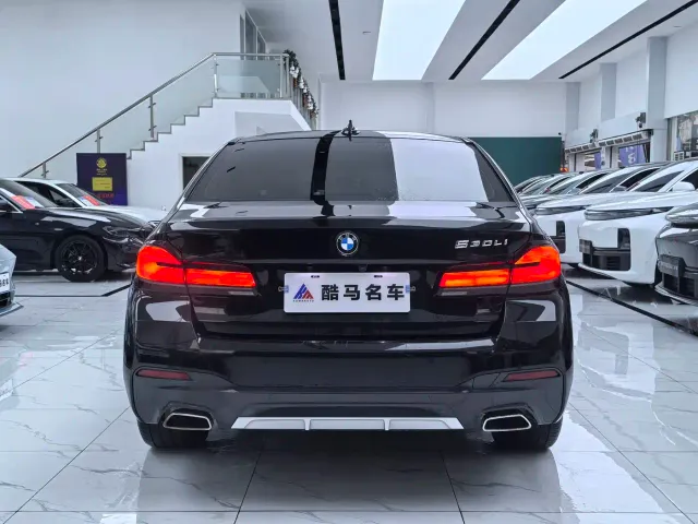 BMW 5 Series — Фото автомобиля 14