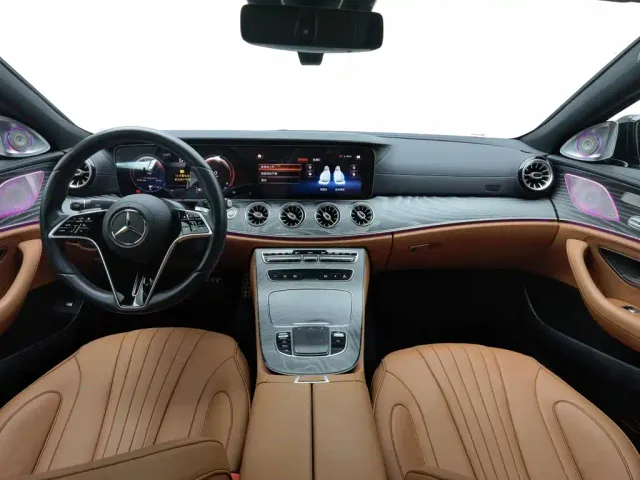 Mercedes-Benz CLS-Class — Фото автомобиля 5
