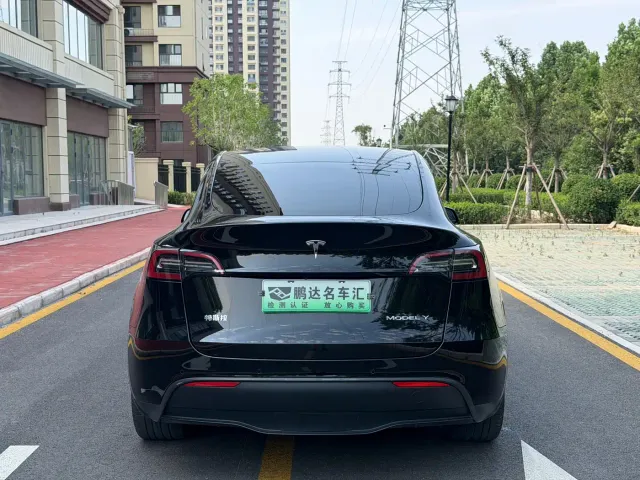 Tesla Model Y — Фото автомобиля 8