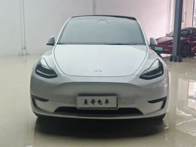 Tesla Model Y — Фото автомобиля 2