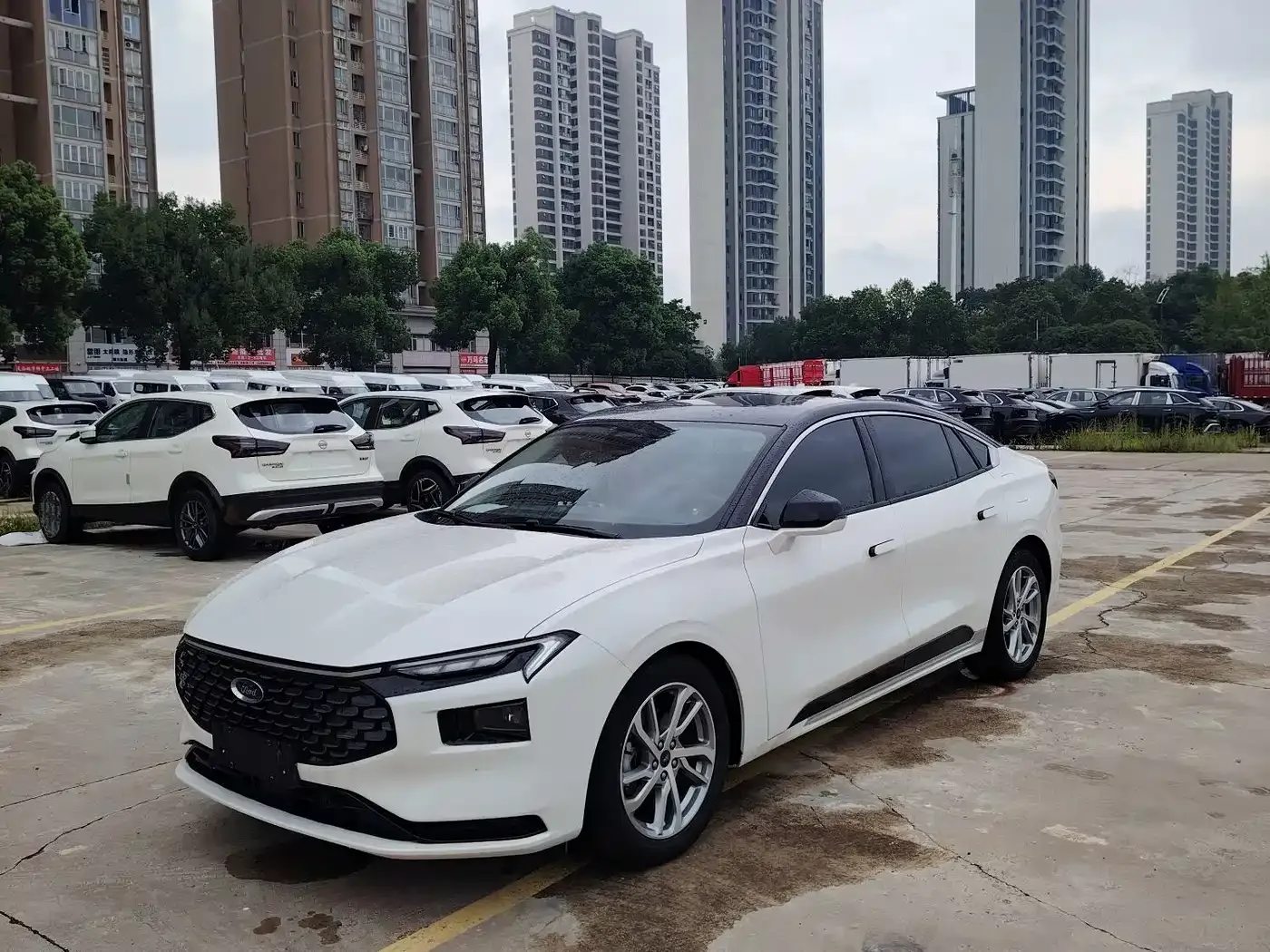 Фотография автомобиля — Ford Mondeo