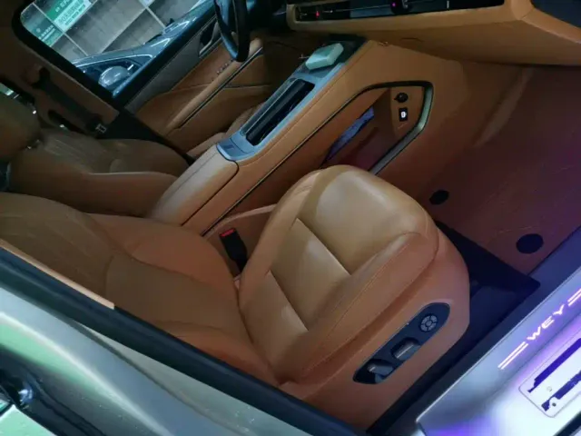 Wey Alpine — Фото автомобиля 24
