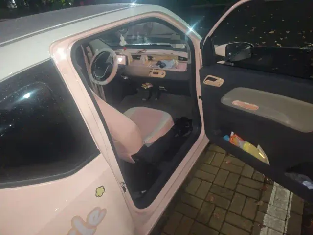 Wuling Hongguang Mini EV — Фото автомобиля 19