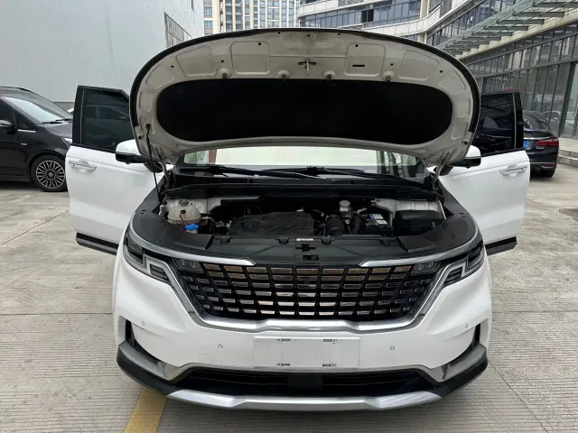 Kia Carnival 2021 2.0T Flagship Edition — Фото автомобиля 7