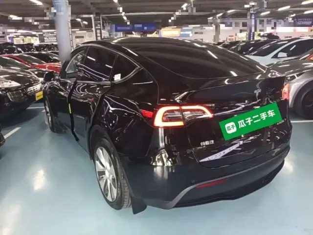 Tesla Model Y — Фото автомобиля 22