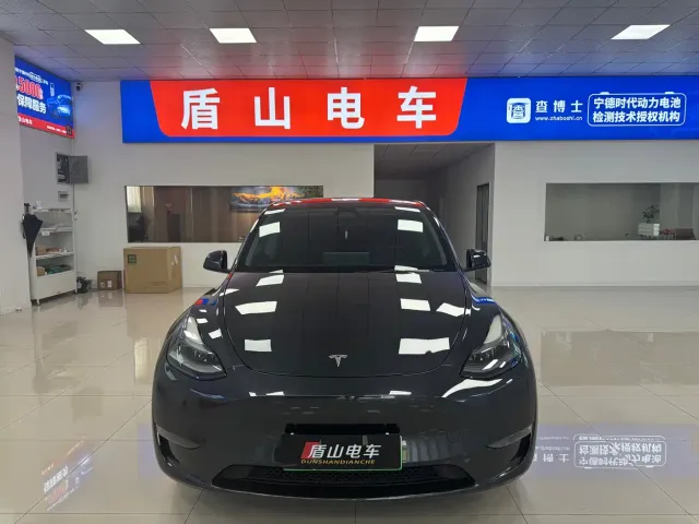 Tesla Model Y — Фото автомобиля 2