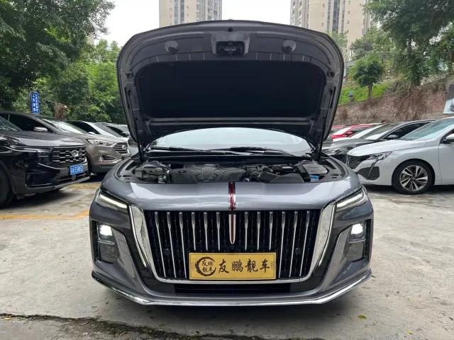 Hongqi H5 — Фото автомобиля 21