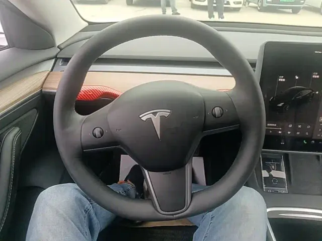 Tesla Model 3 — Фото автомобиля 10