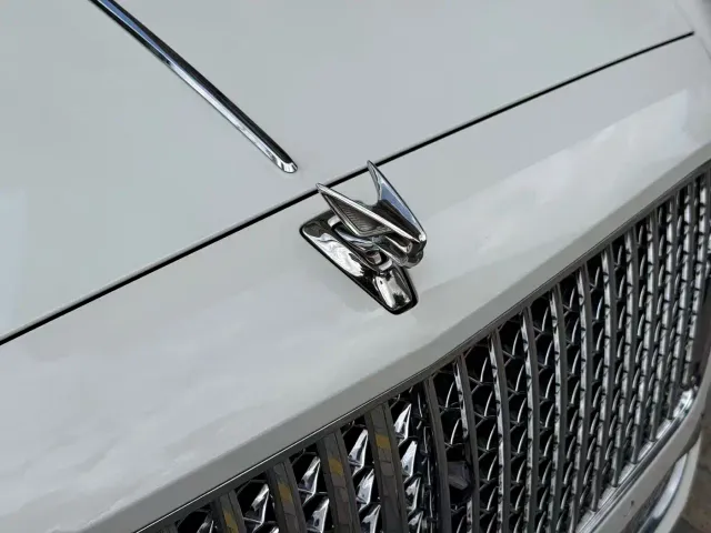 Bentley Flying Spur — Фото автомобиля 28