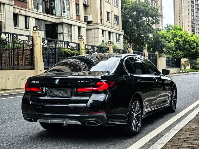 BMW 5 Series — Фото автомобиля 5