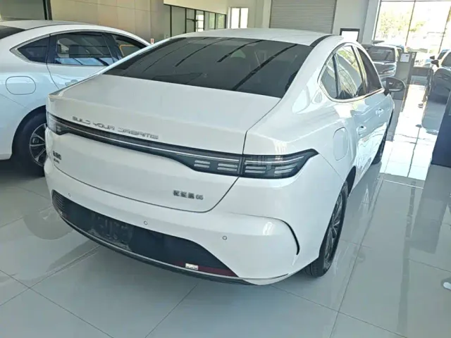 BYD Destroyer 05 — Фото автомобиля 6