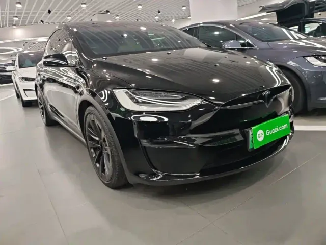 Tesla Model X — Фото автомобиля 21