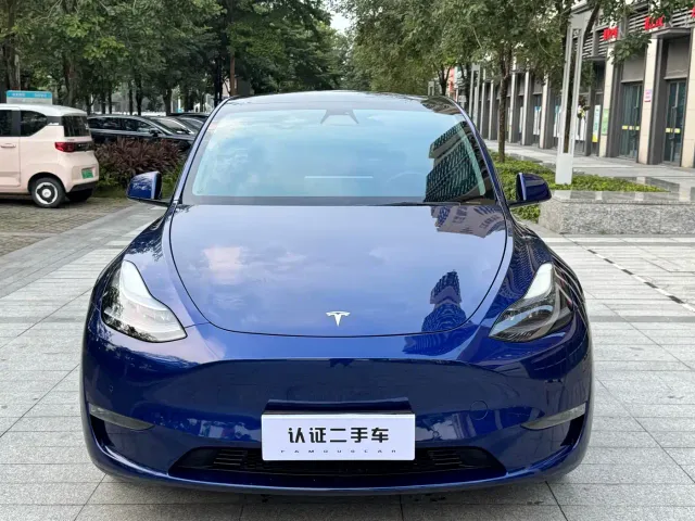 Tesla Model Y — Фото автомобиля 2