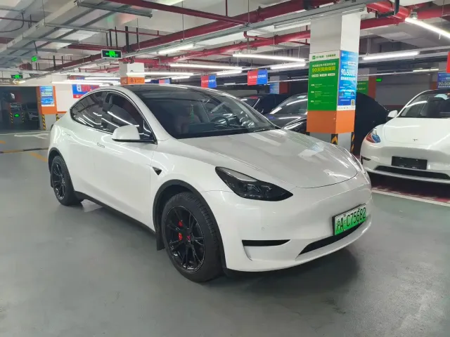 Tesla Model Y — Фото автомобиля 3