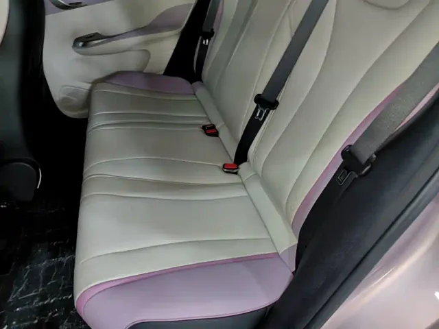 BYD Dolphin — Фото автомобиля 12
