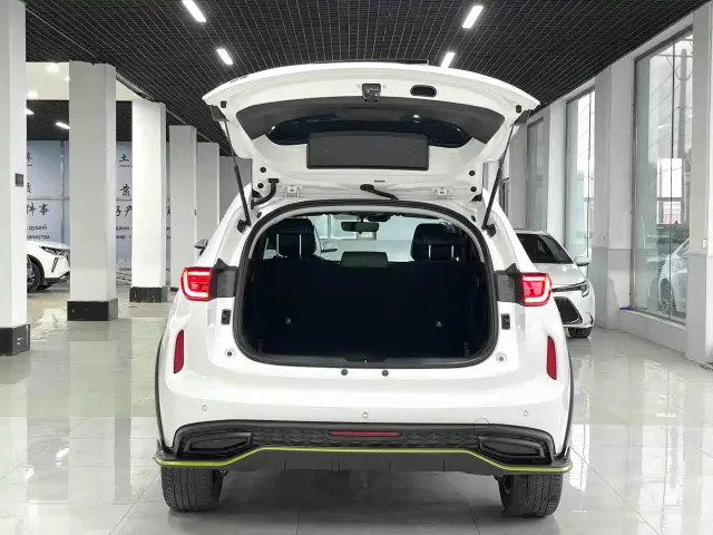 Haval Chitu — Фото автомобиля 16