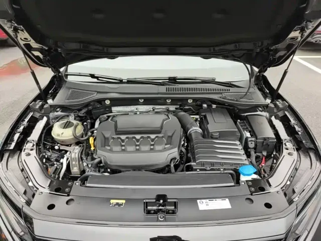 Volkswagen Passat — Фото автомобиля 19