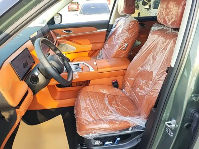 Wey Lanshan — Фото автомобиля 14