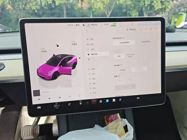 Tesla Model Y — Фото автомобиля 18