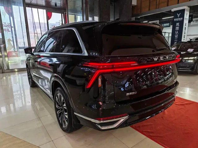Wey Lanshan — Фото автомобиля 11